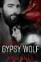 [Strange Lake Falls 05] • Gypsy Wolf